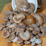 Mushroom coffee can be brewed just like regular coffee. It comes in a variety of forms, including: in Lompoc